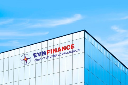 Thanh tra NHNN yêu cầu EVNFinance Đà Nẵng khắc phục tồn tại, hạn chế