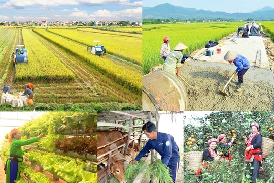 Phấn đấu giải ngân 100% vốn đầu tư công cho các chương trình mục tiêu quốc gia