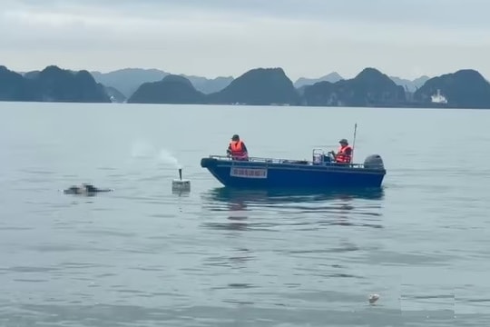Quảng Ninh: Phát hiện thi thể nữ nghi là nạn nhân vụ lật tàu