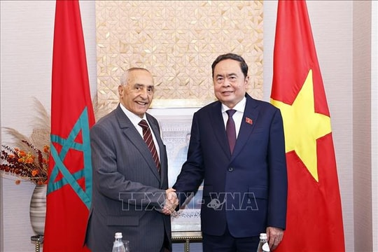 Chủ tịch Quốc hội Trần Thanh Mẫn tiếp Chủ tịch Hội Hữu nghị Maroc - Việt Nam