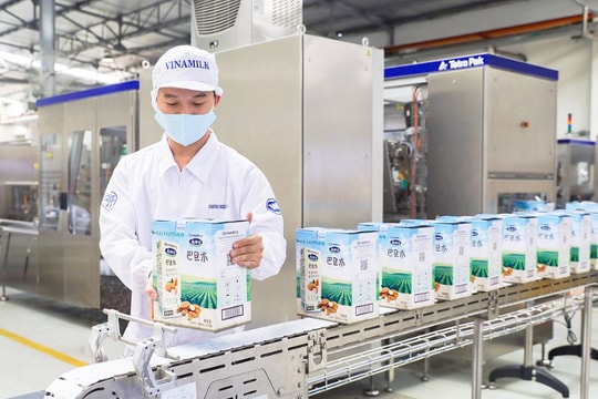Doanh nghiệp tư nhân: Lực lượng chủ lực góp phần nâng tầm thương hiệu quốc gia