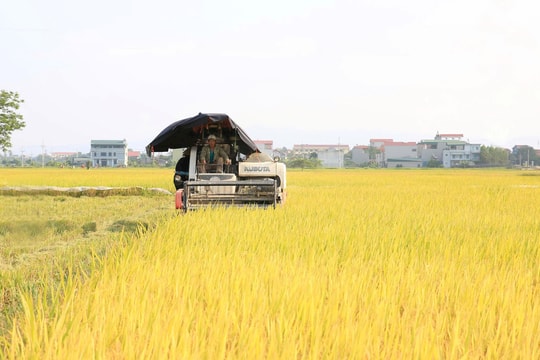 Tin tức đặc biệt trên báo in Hànộimới ngày 30-7-2025