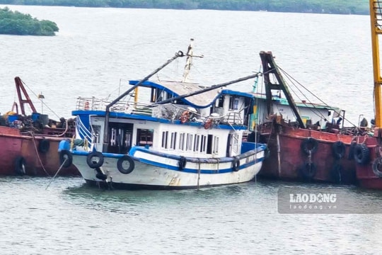 Phó Thủ tướng Nguyễn Hòa Bình yêu cầu giải pháp xử lý lỗ hổng từ vụ lật tàu Vịnh Xanh 58