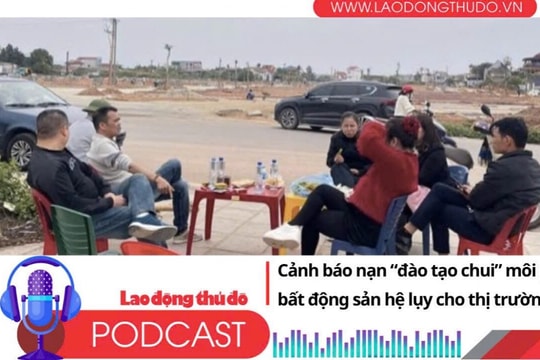 Điểm những tin nổi bật tối ngày 29/7/2025: Cảnh báo nạn “đào tạo chui” môi giới bất động sản hệ lụy cho thị trường