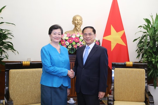 Phó Thủ tướng, Bộ trưởng Bộ Ngoại giao Bùi Thanh Sơn tiếp Đại sứ đặc mệnh toàn quyền Vương quốc Campuchia