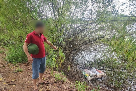 Tùng Thiện: Xử lý nghiêm hành vi vứt xác lợn ra môi trường