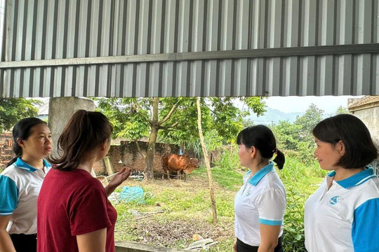 Hội LHPN xã Trung Giã: Tổ chức kiểm tra nguồn vốn vay ưu đãi qua Ngân hàng chính sách xã hội