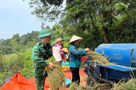 Chiến sỹ quân hàm xanh gặt lúa giúp các hộ gia đình khó khăn