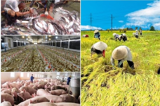 Sau 5 năm thực thi EVFTA: Tăng tốc đưa quan hệ kinh tế Việt Nam - EU lên tầm cao mới