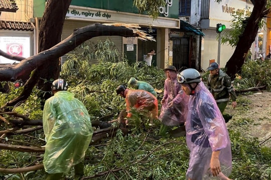 Để “lá phổi xanh” không trở thành hiểm họa