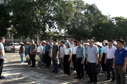 Hà Nội: Từ ngõ nhỏ đến phố lớn, người dân chung tay vệ sinh môi trường