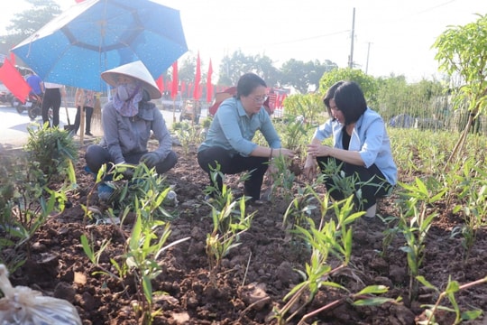 Phường Lĩnh Nam (Hà Nội): Chung tay hành động vì môi trường sạch, đẹp