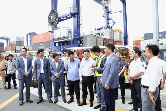Xây dựng cảng container quốc tế thông minh đầu tiên tại Việt Nam