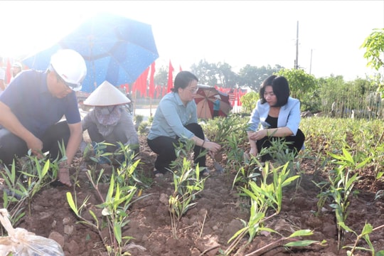 Phường Lĩnh Nam ra quân tổng vệ sinh môi trường