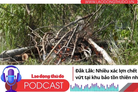 Điểm những tin nổi bật tối ngày 2/8/2025: Đắk Lắk: Nhiều xác lợn chết bị vứt tại khu bảo tồn thiên nhiên