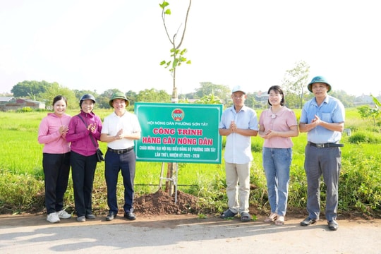 Phường Sơn Tây chung tay xây dựng môi trường xanh - sạch - đẹp