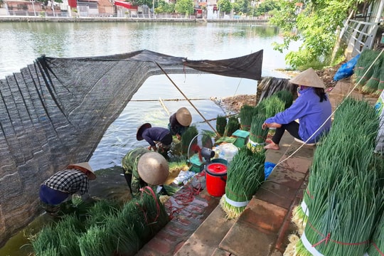 Xã Phúc Lộc hướng tới trung tâm nông nghiệp sinh thái kiểu mẫu của Thủ đô