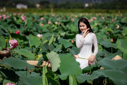 Hà Nội bốn mùa hoa