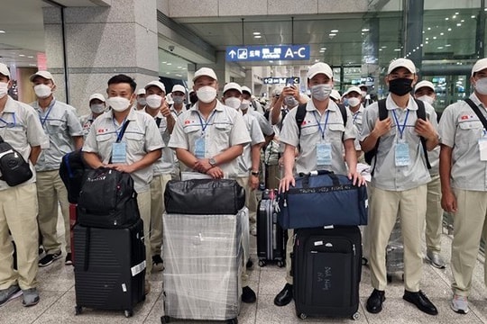 Thêm cơ hội làm việc tại Hàn Quốc cho lao động có chuyên môn kỹ thuật