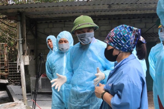 Thành lập 10 đoàn công tác hỗ trợ địa phương trong vận hành chính quyền địa phương hai cấp về lĩnh vực nông nghiệp và môi trường