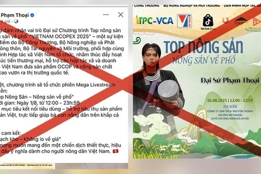 Tiktoker Phạm Thoại bị phạt vì chia sẻ thông tin giả, sai sự thật