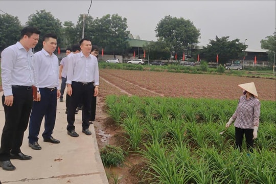 Khơi dậy khát vọng, kiến tạo tương lai