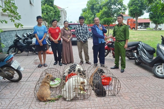 Triệt phá ổ nhóm trộm chó hoạt động tinh vi