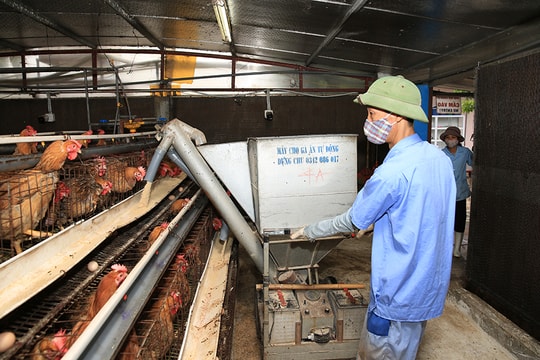 Quỹ Khuyến nông thành phố: “Bà đỡ” phát triển kinh tế cho nông dân