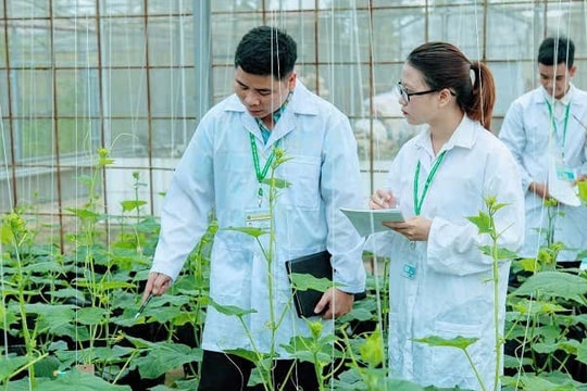 Hỗ trợ vận hành chính quyền địa phương hai cấp về lĩnh vực nông nghiệp và môi trường