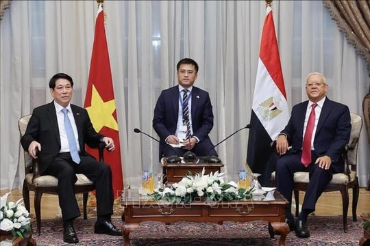 Chủ tịch nước Lương Cường hội kiến Chủ tịch Hạ viện Ai Cập