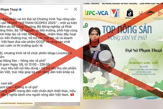 Tiktoker Phạm Thoại bị xử phạt vì thông tin sai sự thật