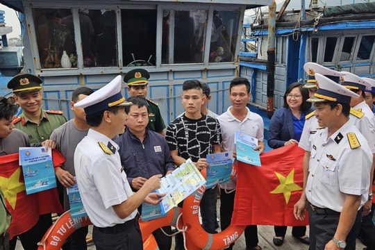 Đà Nẵng: Hoàn thành xử lý dứt điểm hơn 1.900 tàu cá “3 không”