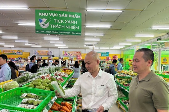 TP Hồ Chí Minh khảo sát triển khai nhãn “Tick Xanh trách nhiệm”