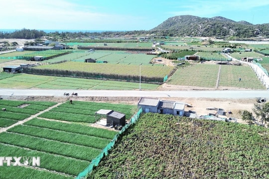 Thủ tướng Phạm Minh Chính làm Trưởng ban Chỉ đạo xây dựng nhà máy điện hạt nhân