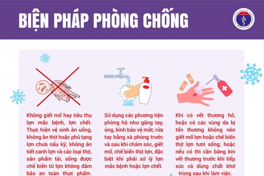 Tăng cường công tác phòng, chống bệnh liên cầu lợn sang người