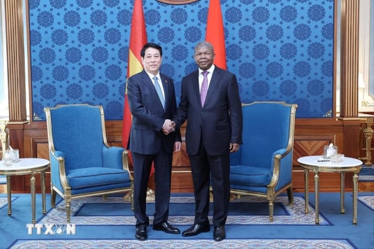 Angola đề nghị Việt Nam hỗ trợ phát triển trồng lúa và cây ăn quả