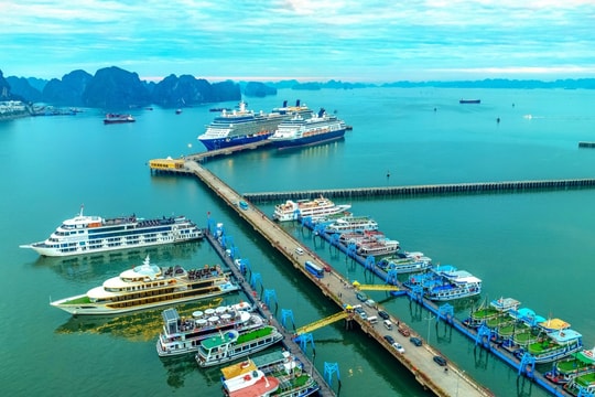 Du lịch Quảng Ninh nâng cấp an toàn tàu biển bằng công nghệ AIS