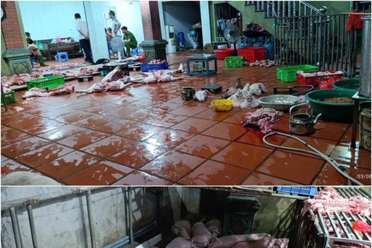 Kịp thời phá đường dây tuồn thịt lợn nhiễm dịch tả lợn châu Phi ra thị trường