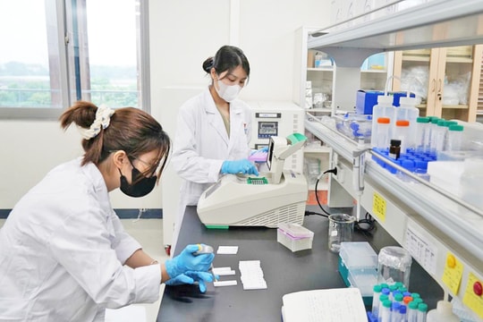 Thu hút nhân tài khoa học và công nghệ: Bắt đầu từ việc xác định đúng người tài
