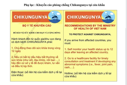 Bộ Y tế đề nghị tăng cường phòng, chống bệnh Chikungunya