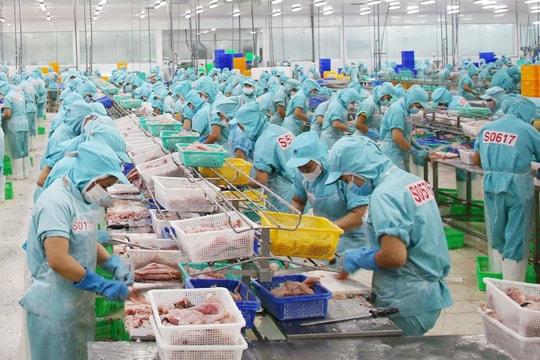 Gia tăng phòng vệ thương mại, hàng hóa Việt đối mặt nhiều thách thức