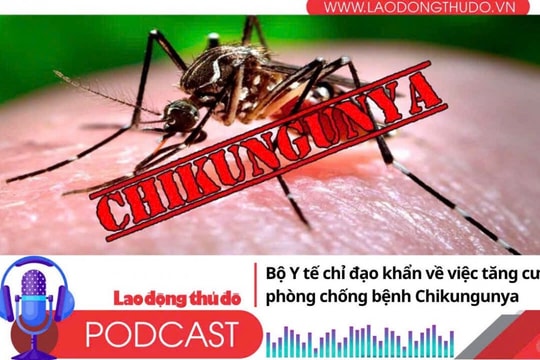 Điểm những tin nổi bật tối ngày 10/8/2025: Bộ Y tế chỉ đạo khẩn về việc tăng cường phòng chống bệnh Chikungunya