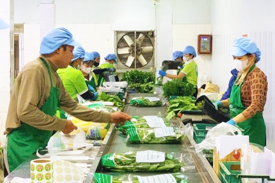 Thúc đẩy chuyển đổi số trong Chương trình OCOP của Thủ đô