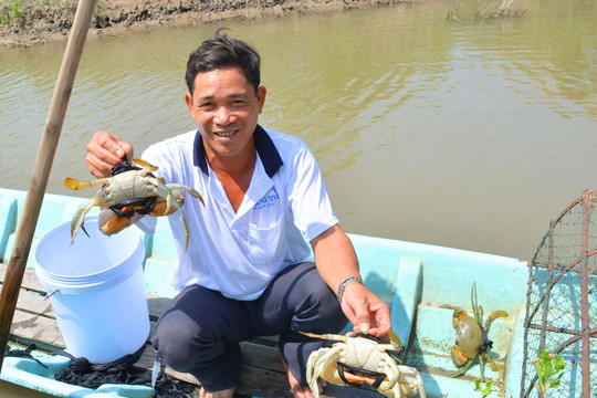 Cà Mau đầu tư hơn 500 tỷ đồng phát triển thủy sản bền vững