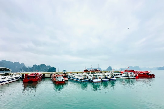 Lắp đặt hệ thống định vị, cảnh báo giông lốc bảo đảm an toàn trên vịnh Hạ Long