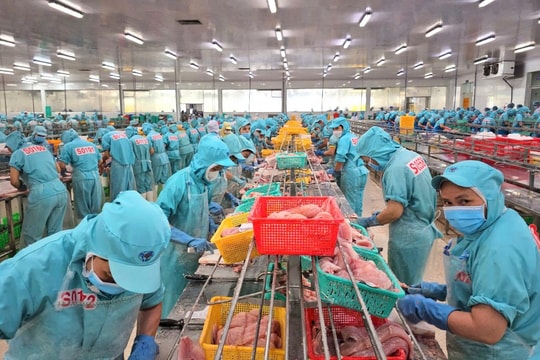 Tìm giải pháp thúc đẩy xuất khẩu nông lâm thủy sản trước thuế đối ứng của Mỹ