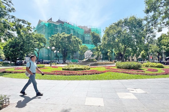 "Hiện thực" bãi đỗ xe ngầm tại công viên, vườn hoa