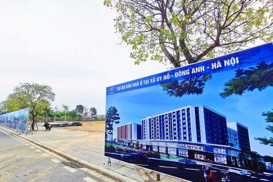 Hà Nội: Hơn 400 căn nhà ở xã hội tại Đông Anh bán với giá hơn 20 triệu đồng/m2