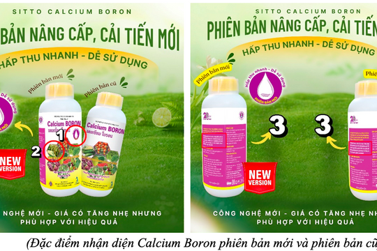 Sitto Calcium Boron – Công nghệ không lắng, hấp thu nhanh