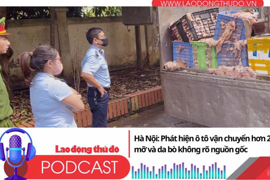 Điểm những tin nổi bật sáng ngày 15/8/2025: Hà Nội: Phát hiện ô tô vận chuyển hơn 2 tấn mỡ và da bò không rõ nguồn gốc